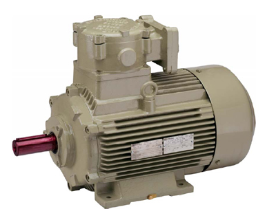 Flameproof motor