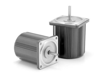 2 Pole Round Shaft Motor