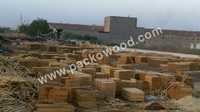 Timber Yard