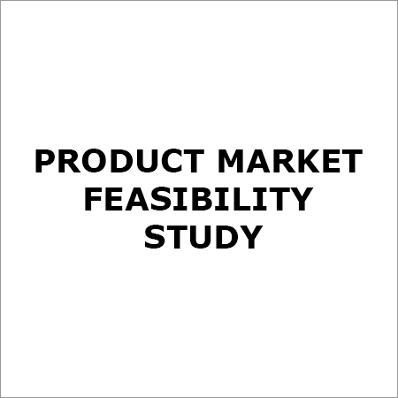 Product Market Feasibility Study