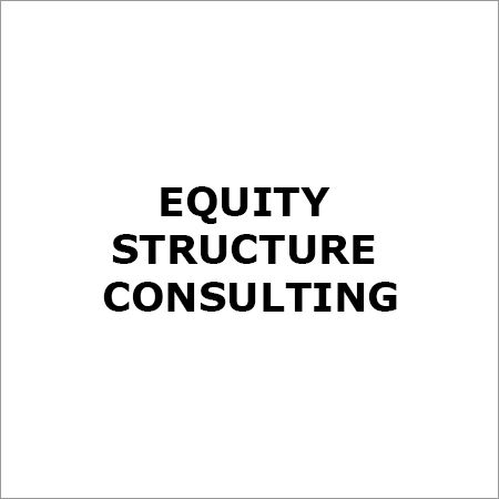 Equity Structure Consulting