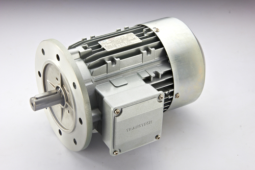INDUCTION MOTOR