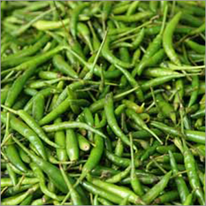 Fresh Green Chilli