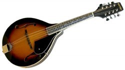 Flat Back Mandolin