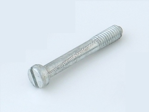 Cheese Head Slotted Screw
