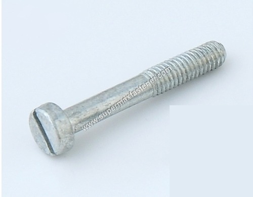 Slotted Screw
