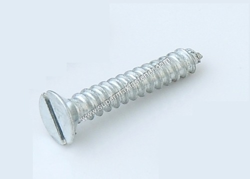 MS CSK Slotted Screw