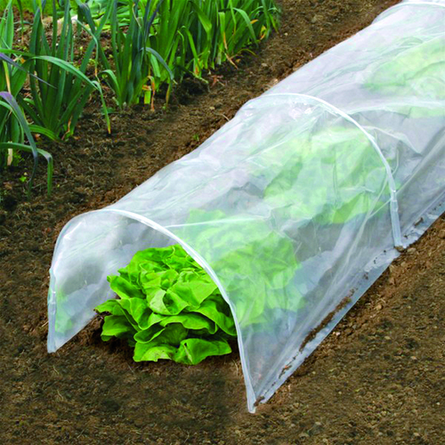 Poly Tunnel Film