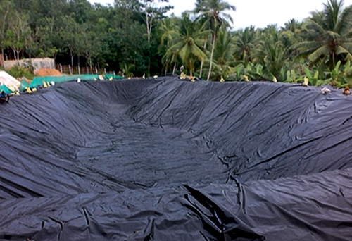 Geomembrane film