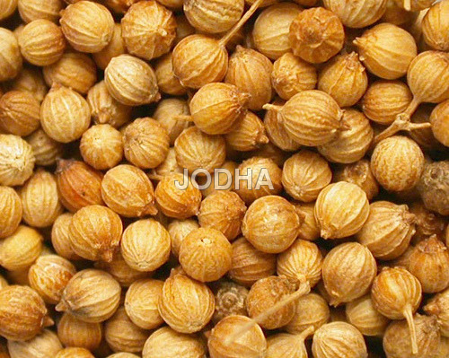 Coriander Seeds