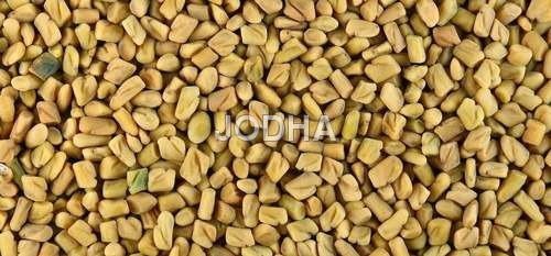 Fenu Greek Seed