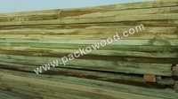Treated Timber India