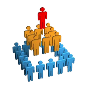 MLM Software