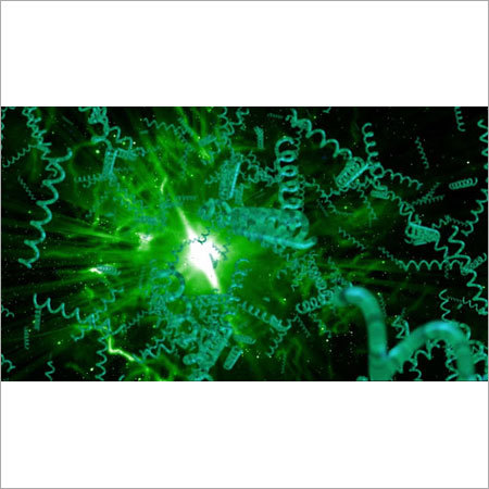 Organic Spirulina