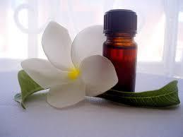 Frangipani Essential Oil