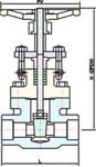 Forged Steel Gate Valve