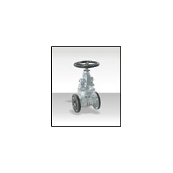 SAP SS Valves  
