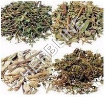 Dried Herbline Himalayan Teasel Root Extracts