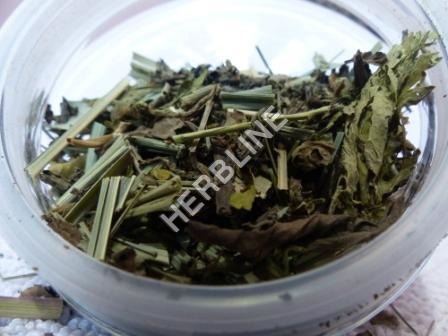 Herbline Weight Loose Tea - Dried Leaves, Antioxidant & Sedative Properties, Regulates Cholesterol and Glucose Levels, Extended Shelf Life