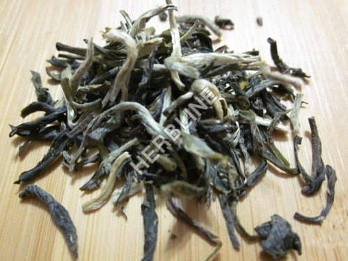 Dried Herbline Loose 100% Green Tea