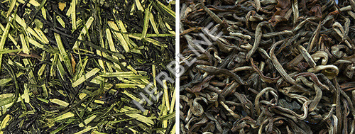 Dried Green Tea Leaves