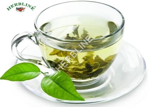 Herbline 100% Organic Green Tea - Dried Leaves, Premium Antioxidant Benefits, Fatigue Fighter and Blood Pressure Regulator