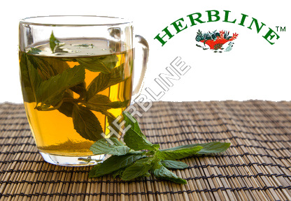 Dried Herbline Green Tea For Regular Drink
