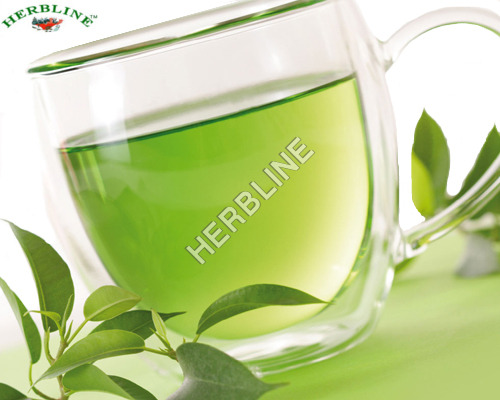 Dried Herbline 100% Green Tea