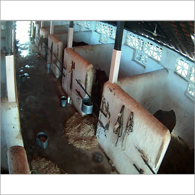 Video Surveillance System