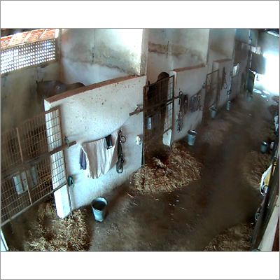 Intelligent Surveillance Solutions