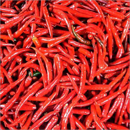 Red Chilli