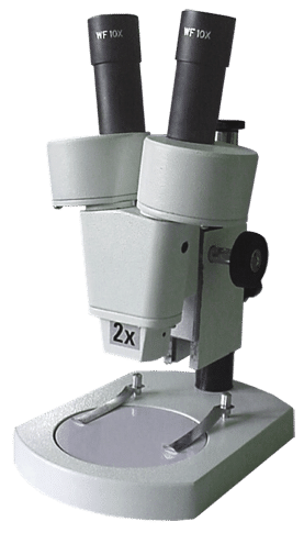 Student Stereo Binocular Microscope