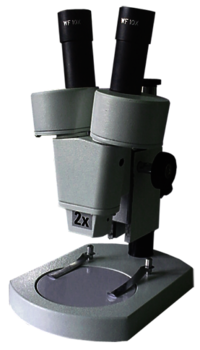 Student Stereo Binocular Microscope