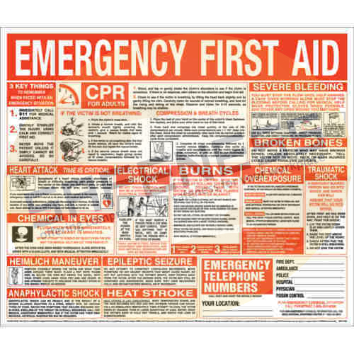 Red And White First Aid Chart