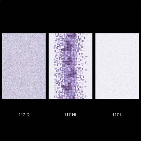 2 X 2 Vitrified Tiles