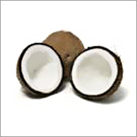 Coconut
