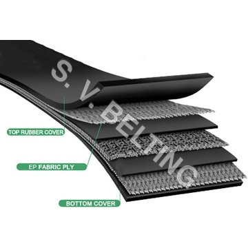 Excellent rot resistant conveyor belts