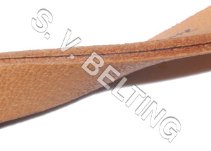 Conveyor & Conveyor/Industrial Belts