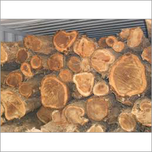 Costa Rica Teak Wood Logs