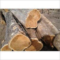 Burma Teak Wood Logs