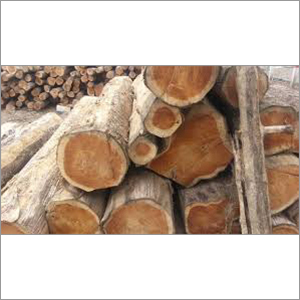 Teak Timber Wood Logs