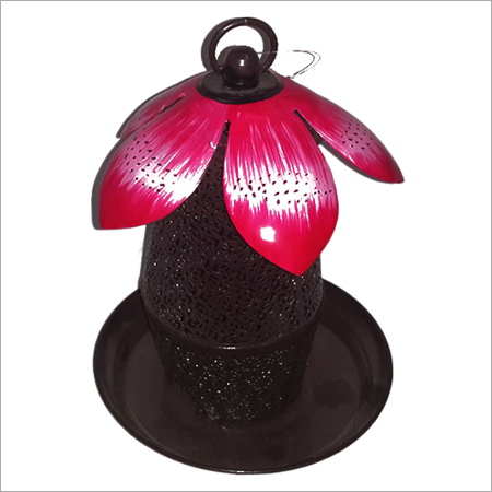 Birds Feeder