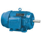 General Purpose AC Motors