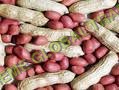 Groundnut Kernels