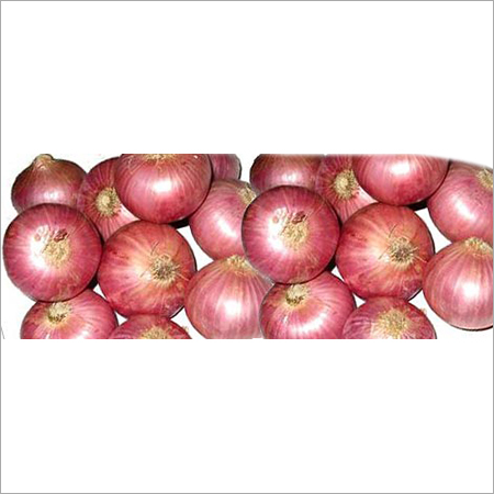 Organic Onion