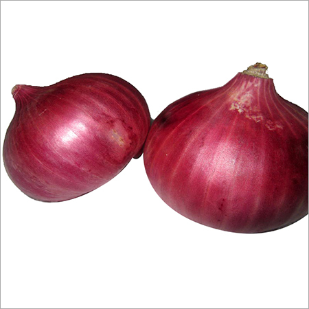Fresh Red Onion