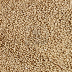 Organic Sorghum