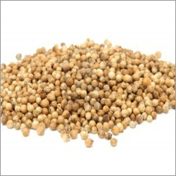 Coriander Seed