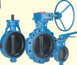 Butterfly Valve LNT