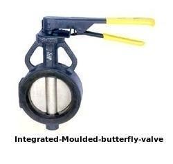 Butterfly Valve